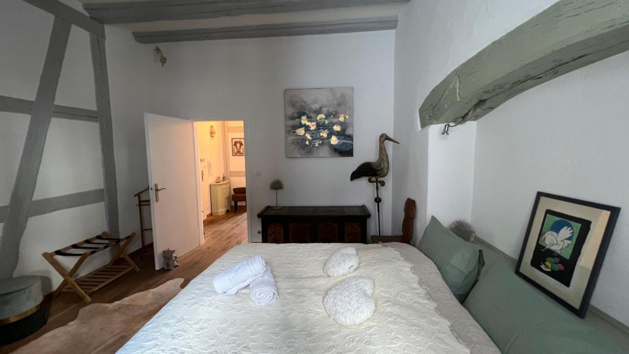 Gite Bi Uns Chez Silvana Colmar Exterior photo