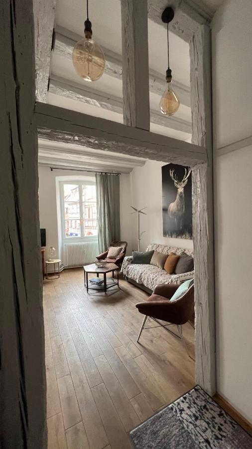 Gite Bi Uns Chez Silvana Colmar Exterior photo