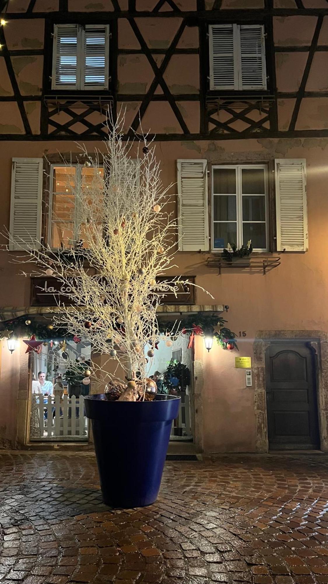 Gite Bi Uns Chez Silvana Colmar Exterior photo